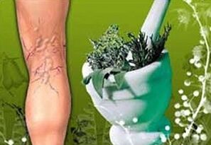 билки за лечение на разширени вени